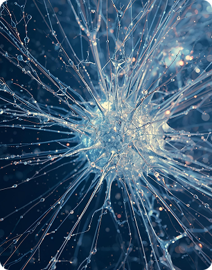 Accessible Innovation