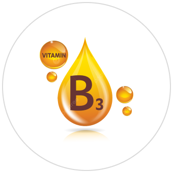 Vitamin B3